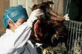who220827_med[1].jpg
